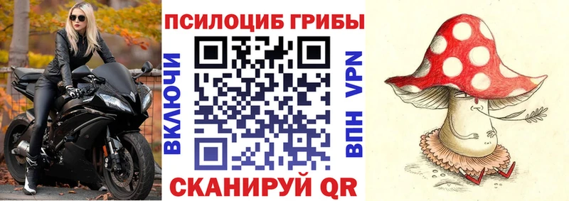 купить  цена  Крымск  Псилоцибиновые грибы мицелий 