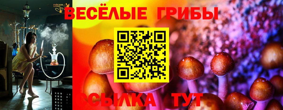 Крымск  Галлюциногенные грибы Magic Shrooms  Вход с VPN 